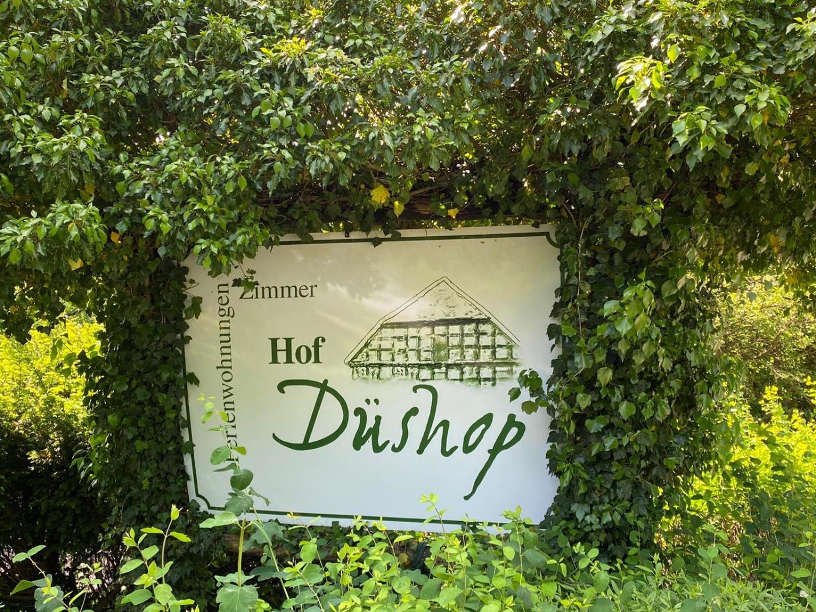 Апартаменти Hof Dueshop Бад-Фаллінґбостель Екстер'єр фото